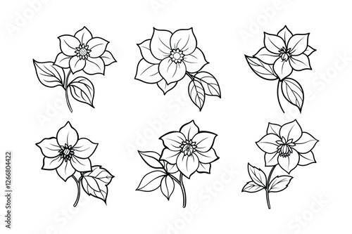 Hellebore (Helleborus spp.) line art vector illustration