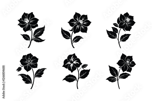 Hellebore (Helleborus spp.) ‍silhouette vector illustration