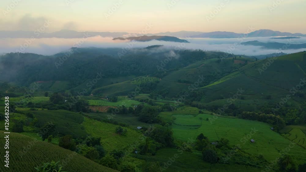 Witness the tranquility of lush rice fields enveloped in morning mist as the sun rises over the scenic mountains of Chiang Mai. Natures beauty unfolds in this stunning landscape. Witness the tranquility of lush rice fields enveloped in morning mist as the sun rises over the scenic mountains of Chiang Mai. Natures beauty unfolds in this stunning landscape.