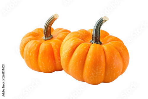Two orange pumpkins Isolated on white background.