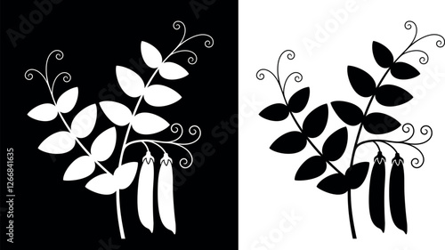 Pea plant. Isolated pea on white background