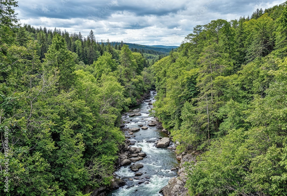 beautiful view of a river flowing through a forest beautiful view of a river flowing through a forest
