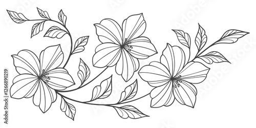 Line art floral botanical on transparent background vector. floral, flowers, leaves, foliage, branches in hand drawn. Floral element design