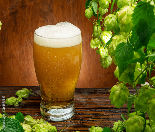 Glass of chilled light beer on wooden table and fresh green lush leaves of hops vine are arranged as a frame. A key component of the aroma and taste of beer production. photo