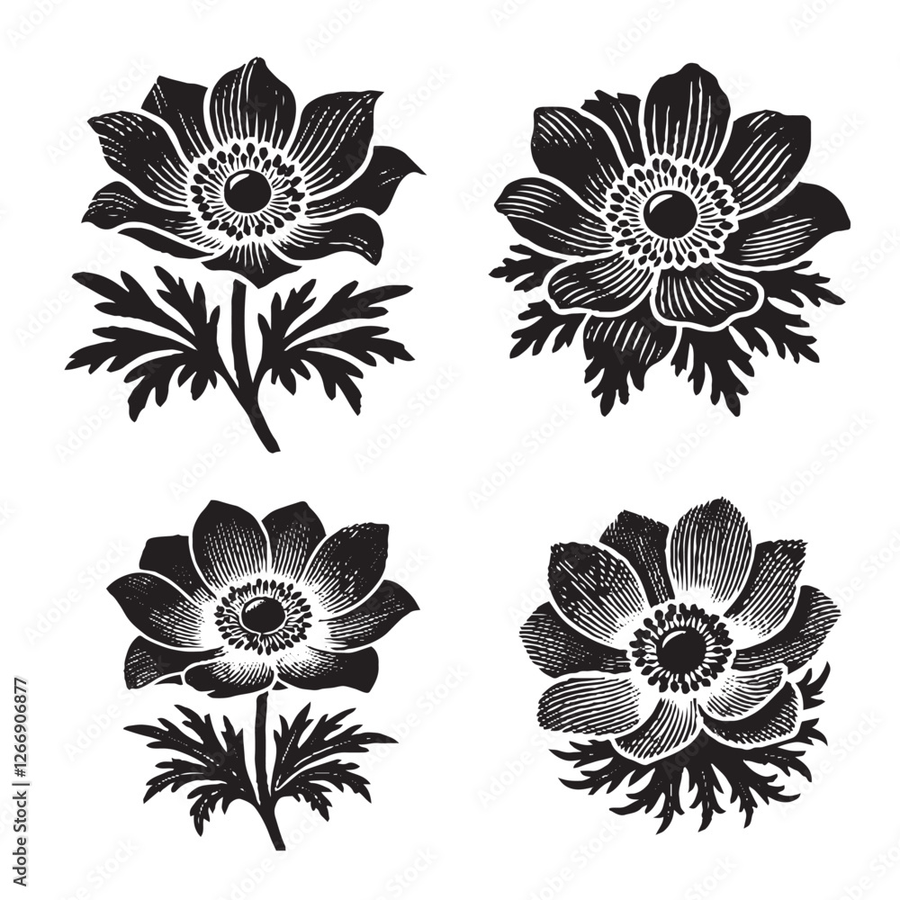 Fototapeta premium High-Quality Vector Silhouette of an Anemone Flower on White Background