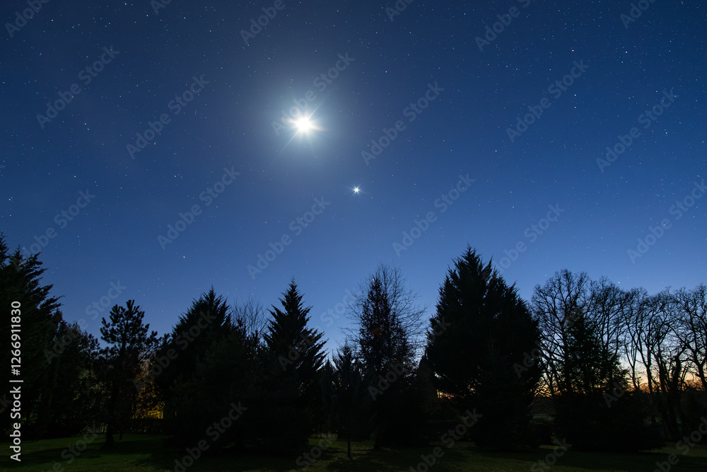 The Moon and the planet Venus shining bright in the night sky over some conifers in a park in the Dordogne region of France The Moon and the planet Venus shining bright in the night sky over some conifers in a park in the Dordogne region of France