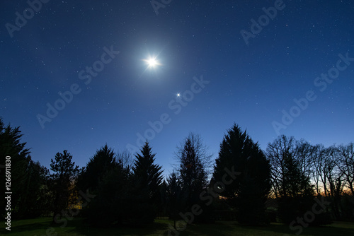 Wallpaper Mural The Moon and the planet Venus shining bright in the night sky over some conifers in a park in the Dordogne region of France Torontodigital.ca