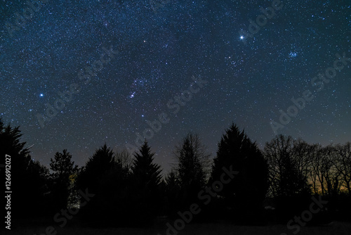 Wallpaper Mural The planet Jupiter shining bright in the night sky next to the Pleiades star cluster and millions of stars over some conifers in a park in the Dordogne region of France Torontodigital.ca