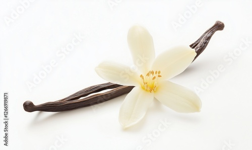 Vanilla flower and pods on white background showcasing natural beauty and culinary uses