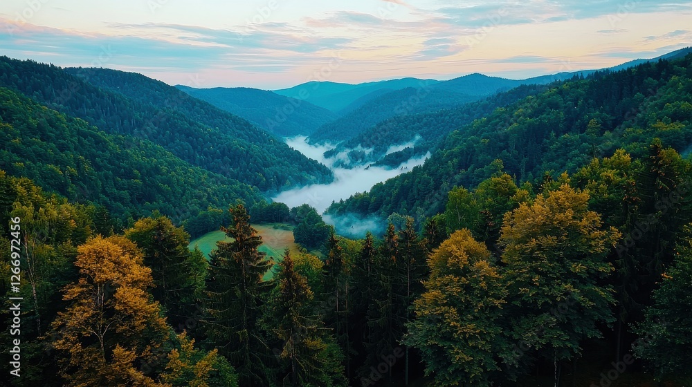 Serene Aerial View of Misty Valley Surrounded by Lush Green Forests During Sunset Serene Aerial View of Misty Valley Surrounded by Lush Green Forests During Sunset