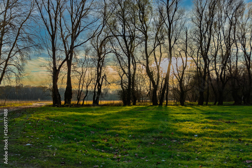 Field in Martely near Tisza photo