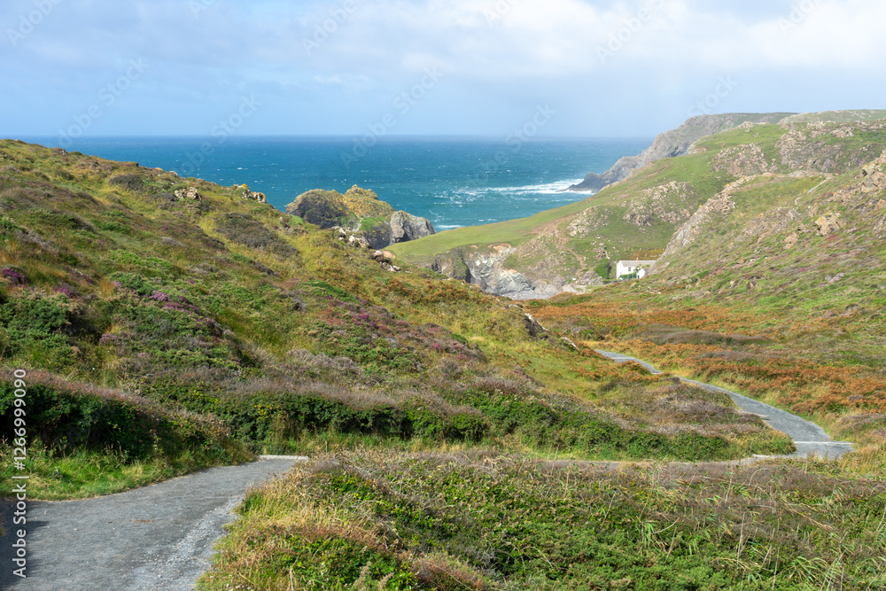 Fototapeta premium Winding path through heather-covered cliffs leading to a secluded Cornish cove with ocean views. British tourism.