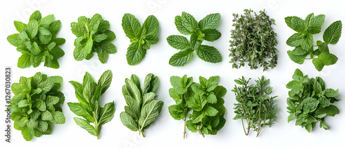 Fresh herbs assortment, culinary, food