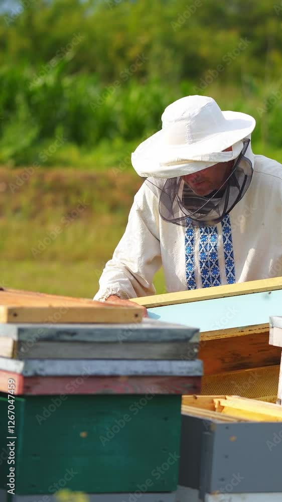 Farmer near colorful beehives among green nature. Beekeeper in protective hat checking hives on apiary. Apiculture concept. Vertical video Farmer near colorful beehives among green nature. Beekeeper in protective hat checking hives on apiary. Apiculture concept. Vertical video