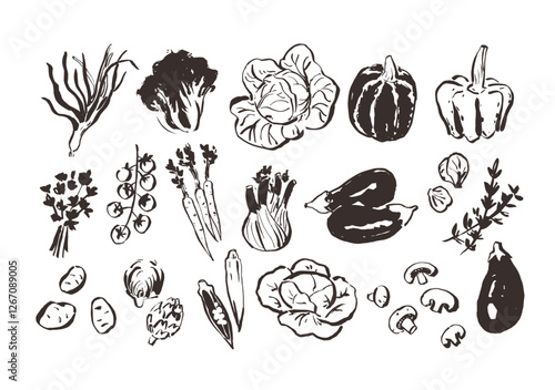 Line art vegetable icons, hand drawn outline illustrations