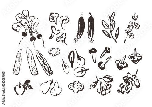 Line art vegetable icons, hand drawn outline illustrations