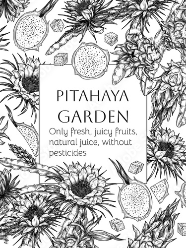 Vector frame with pitahaya and slice, piece, half of fruit in engraving style. Grocery store brochure. Fresh farm fruits. Organic farming. Nutrition banner, healthy eating