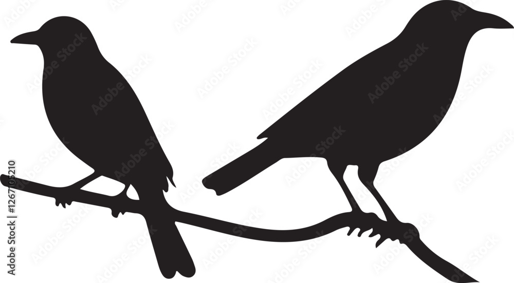 Obraz premium two birds on a branch