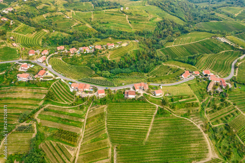 Aerial view of the beautiful vines in the Brda region of Slovenian vineyards.
