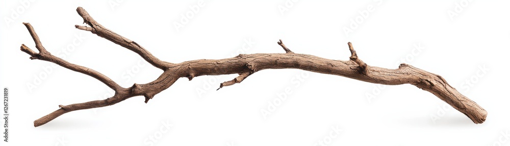 Natural Twisted Branch Wooden Piece for Decorative or Craft Use on White Background Natural Twisted Branch Wooden Piece for Decorative or Craft Use on White Background