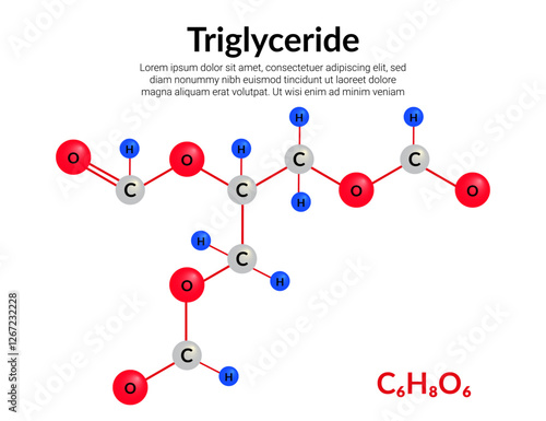 Triglyceride molecular structure formula, ball-and-stick model, suitable for education or chemistry science content. Vector illustration