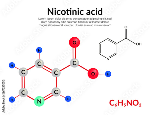 Nicotinic acid or Niacin (Vitamin B3) molecular structure formula, ball-and-stick model, suitable for education or chemistry science content. Vector illustration