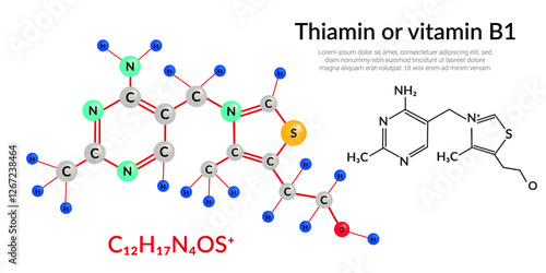 Vitamin B1 or Thiamine molecular structure formula, ball-and-stick model, suitable for education or chemistry science content. Vector illustration.