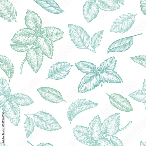 Mint leaves seamless pattern. Hand drawn sketch vector plant illustration. Natural herbal background, textile print