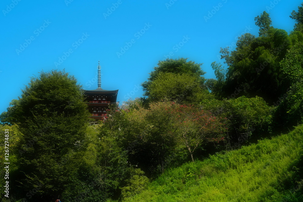 新緑と青空と岡寺の塔 新緑と青空と岡寺の塔