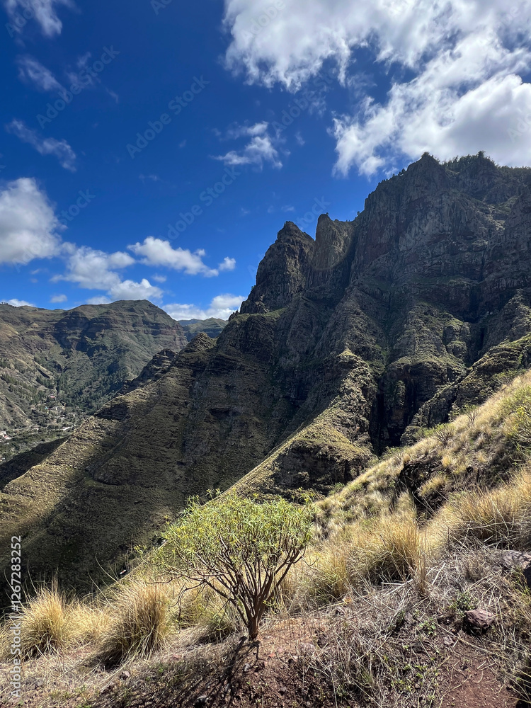 Hiking around Agaete