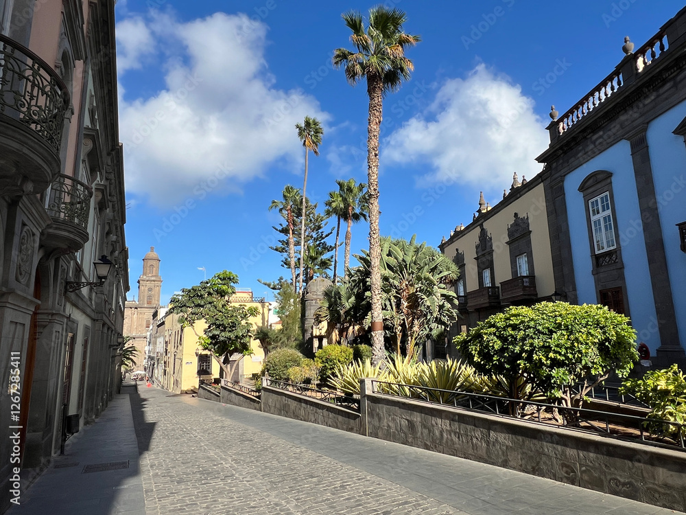 Las Palmas Cathedral Catedral de Canarias