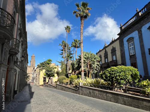 Las Palmas Cathedral Catedral de Canarias photo