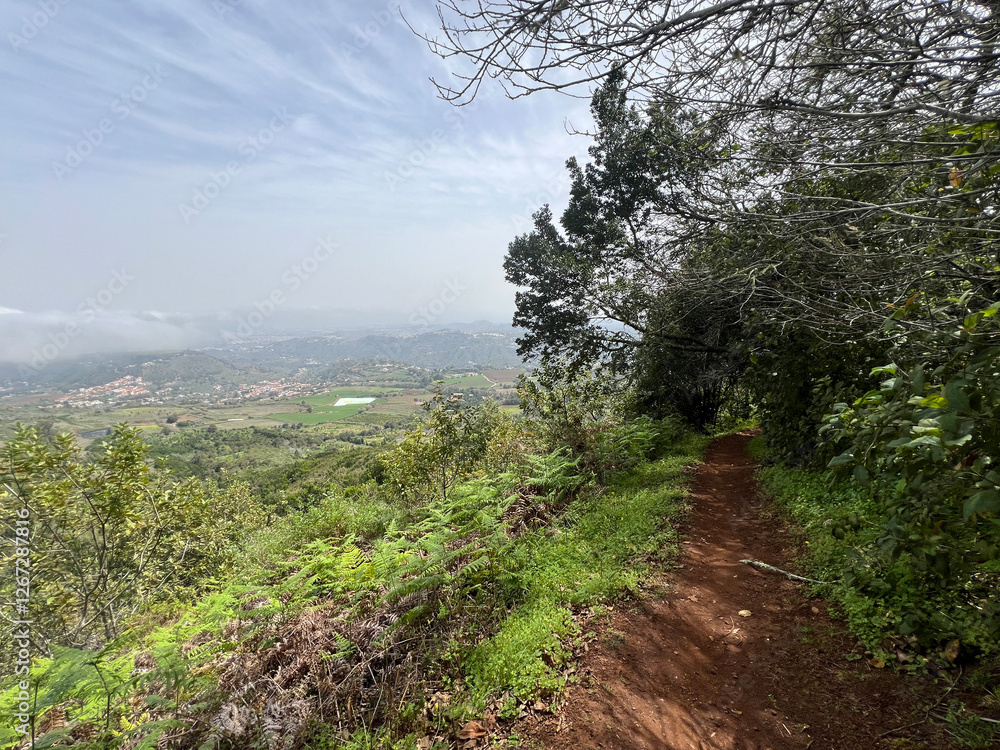 Hiking around Teror