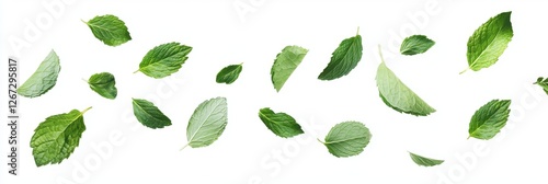 Wallpaper Mural Vibrant Mint Leaves Collection on White Canvas - Isolated Peppermint Foliage for Fresh Culinary Inspiration Torontodigital.ca