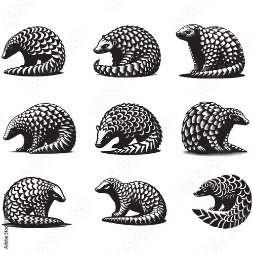 pangolin silhouette vector illustration. Set of Anteater Logo Design Vector. Silhouette of Anteater vector illustration.