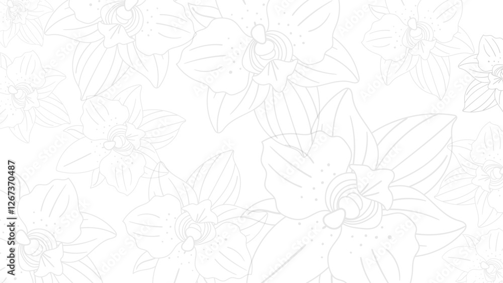 Orchids Flowers in White Vector Background Orchids Flowers in White Vector Background