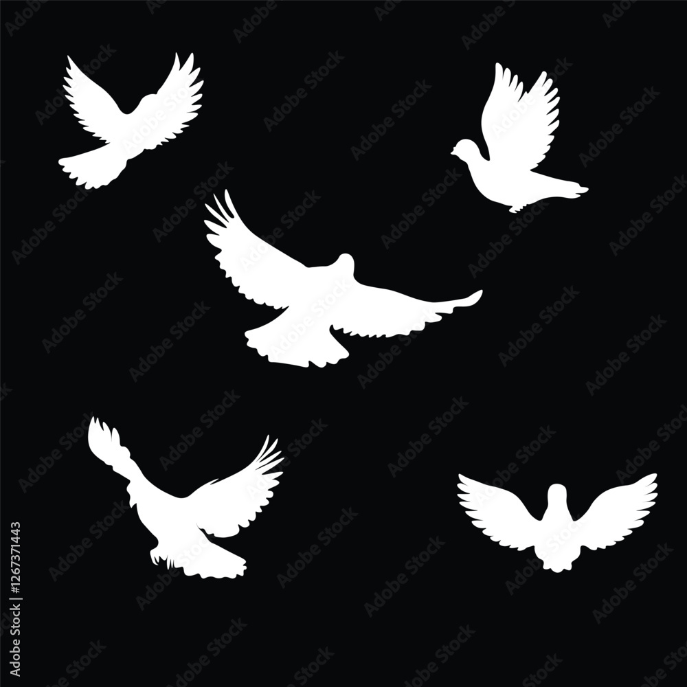 Fototapeta premium Bird silhouette