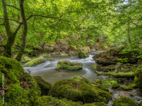 rsmall river in the forest