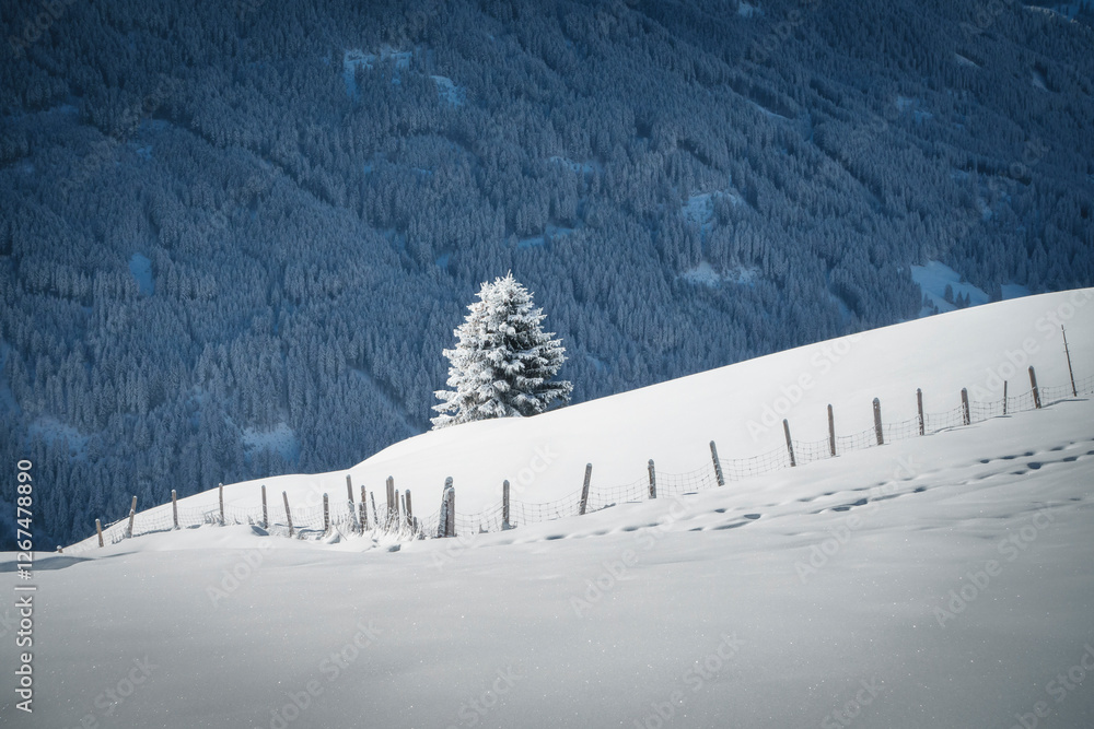 herrliche Winterlandschaft in den verschneiten Bergen von Tirol Österreich