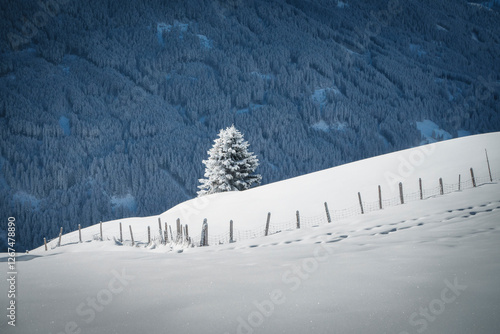 Obraz na płótnie herrliche Winterlandschaft in den verschneiten Bergen von Tirol Österreich w salonie