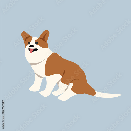 Cute welsh corgi dog. Corgi dog sitting. Corgi dog. Fluffy. Breed. Cute animal. Cute dog. Little dog. Welsh corgi dog. Canine. 