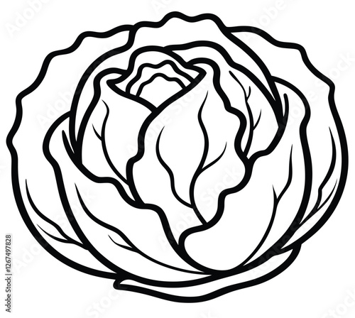 Cabbage vegetable outline black and white cute drawing. The vegetable is the main focus of the image. The vegetable adds a touch of nature and freshness to the scene. The image is simple and clear