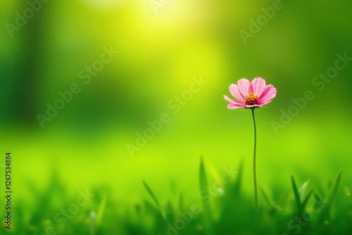 A Single Pink Flower Standing Tall in a Lush Green Meadow Basking in the Warm Glow of Sunlight
