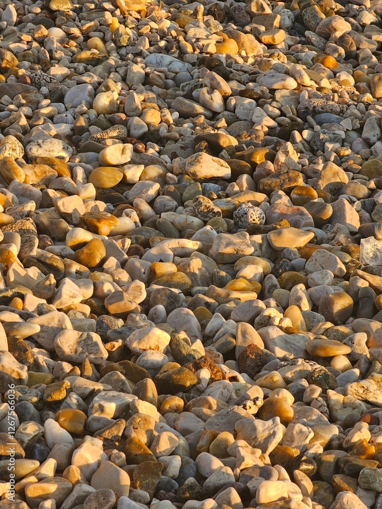 Obraz premium pebbles on the beach