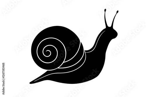 snail on a white background