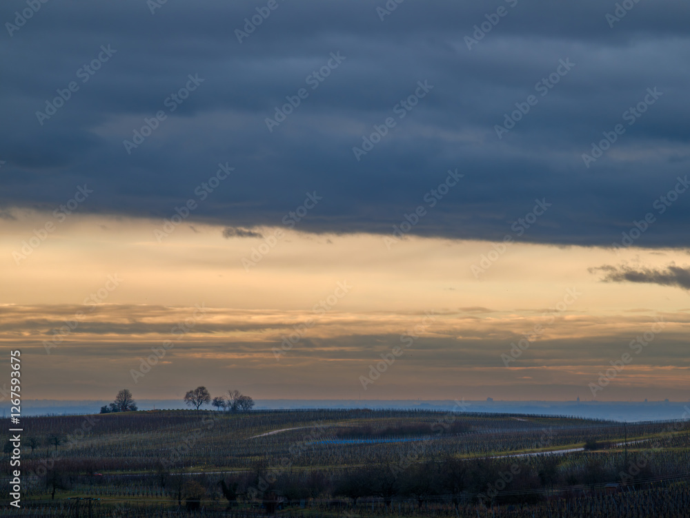 Fototapeta premium Nouveau jour sur la plaine d'Alsace : paysage hivernal et froid intense, Alsace, CEA, Grand Est, France