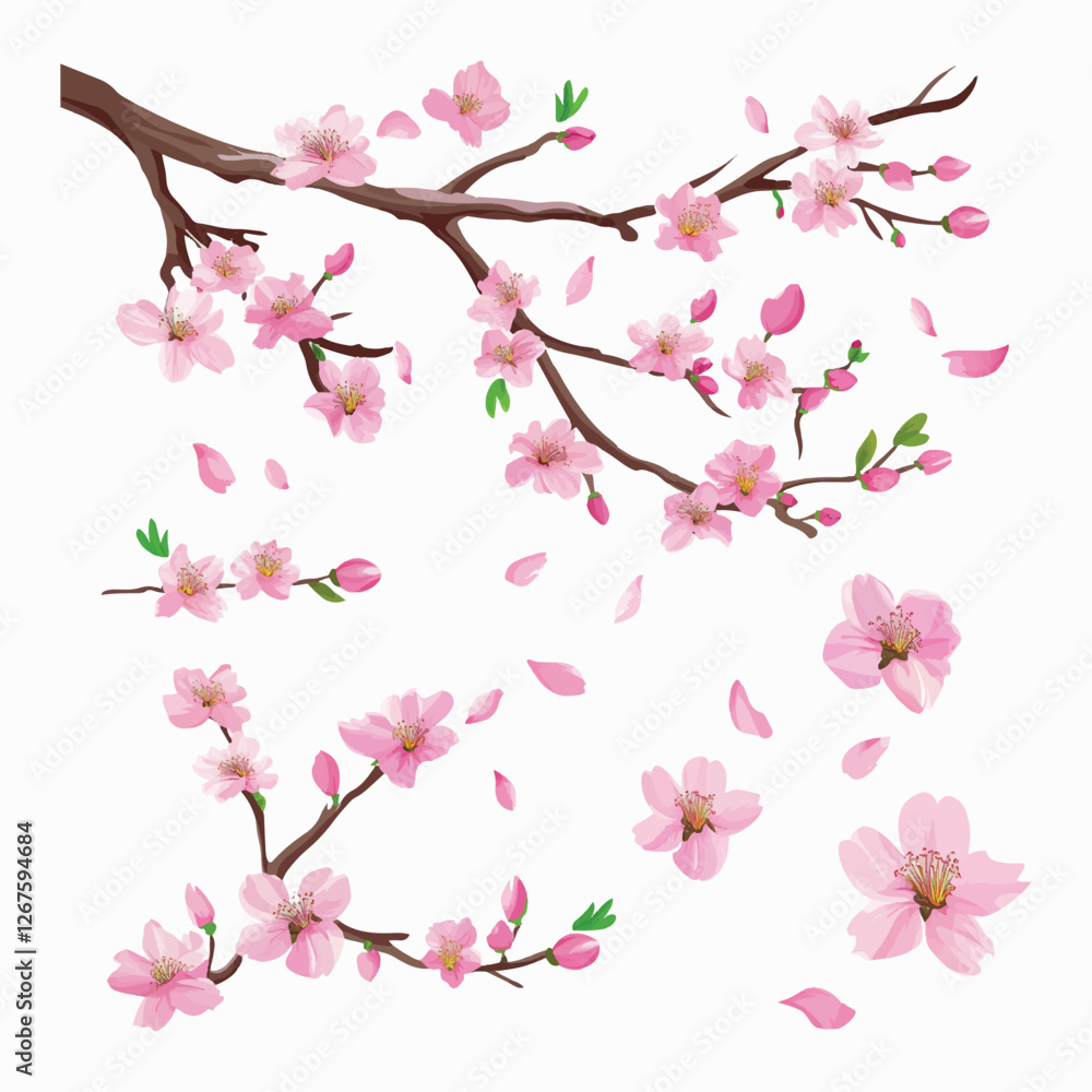 Fototapeta premium Cherry blossom tree branch with pink flowers vector