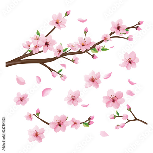 Cherry blossom tree branch with pink flowers vector