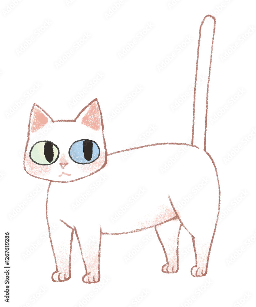 white cat white cat