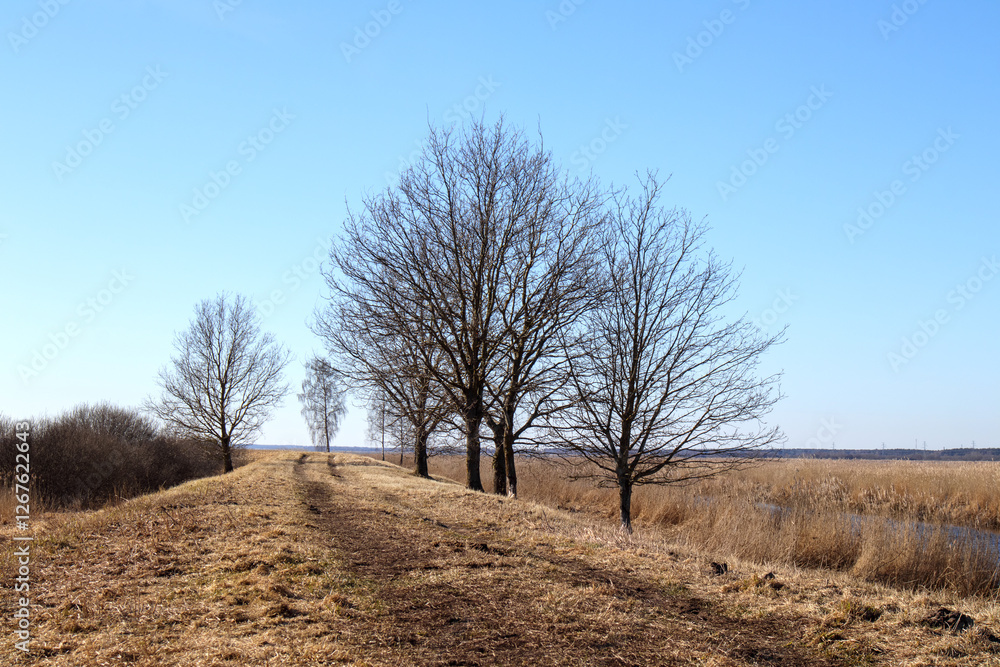 landscape with dirt road, trees and clear blue sky.
landscape with dirt road, trees and clear blue sky.